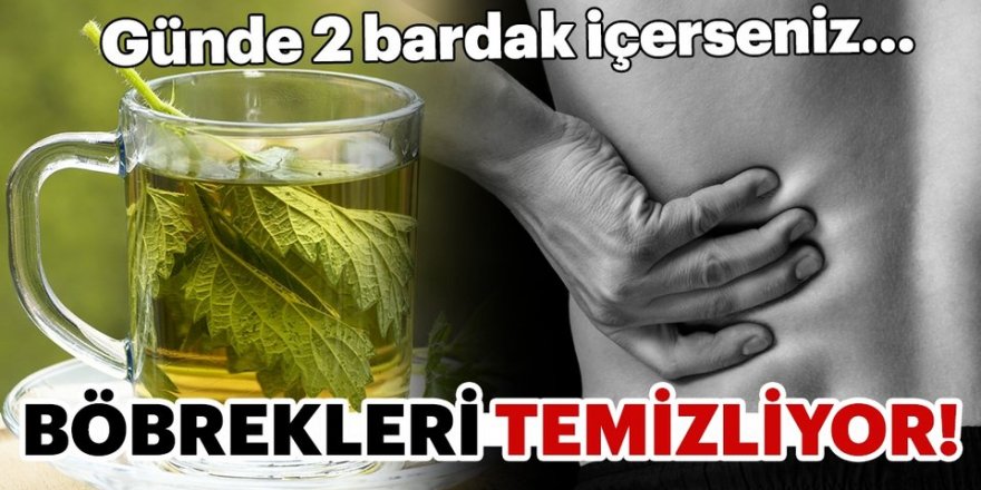 Sabah ve akşam sadece 1 bardak içerseniz böbrekleri pırıl pırıl yapıp temizliyor