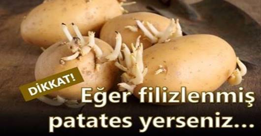 Eğer filizlenmiş patates yerseniz.Bakınız ne oluyor ; Hanımlar mutlaka bilgilenin
