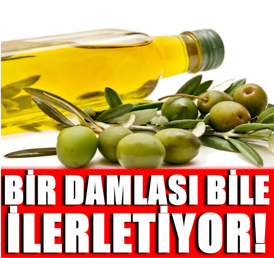 Zeytinyağı ile ilgili yapılan araştırma ezber bozdu