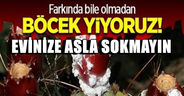 Etikette bu yazıyorsa eğer evinizden uzak tutun