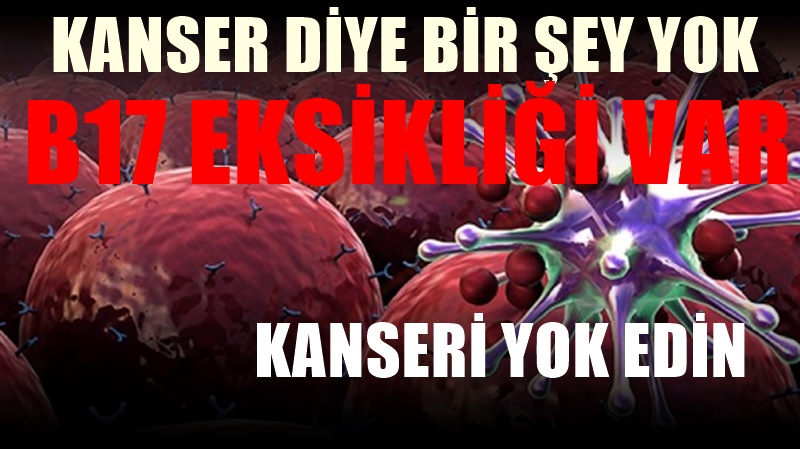 B17 vitamini kanseri önlüyor : İşte doğru kullanma yöntemi