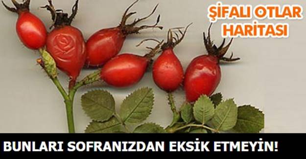 Evinizde mutlaka ama mutlaka bulunması gereken şifalı bitkileri sıraladık