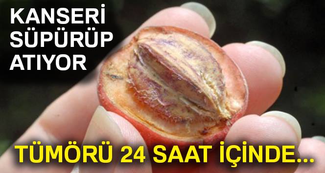 Tümörü 24 saat içinde ETKİSİZ hale getiren mucize