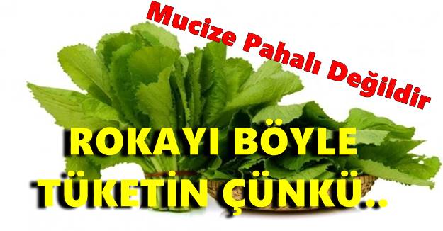 ROKAYI BOLCA TÜKETİN ÇÜNKÜ!!