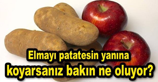 Patatesin yanına elma koyduğunuzda bakın ne oluyor?