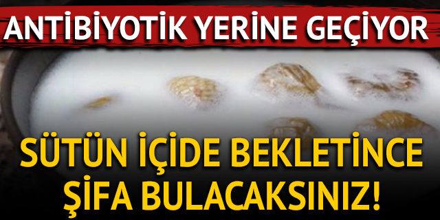 Antibiyotik görevini üstleniyor! İncirin şifa kaynağı olduğunun 8 kanıtı
