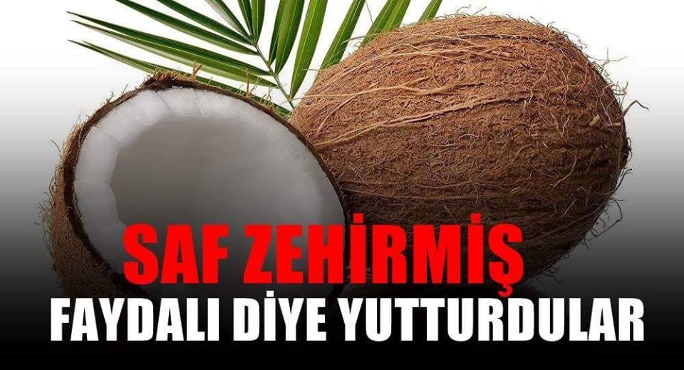 Harvard'dan itiraz: Hindistan cevizi yağı saf zehir ÇIKTI