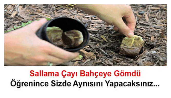 Sallama Çayı Bahçeye Gömdü Öğrenince Sizde Aynısını Yapacaksınız