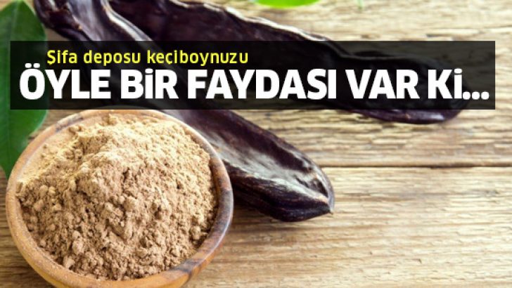 Keçiboynuzunun mucizevi faydaları