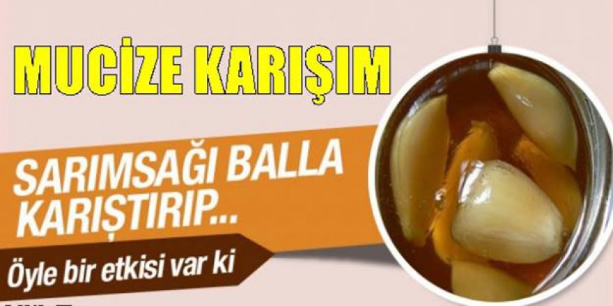 Sarımsağı Balla Karıştırıp 1 Kaşık Yediğinizde o sorundan kurtarıyor