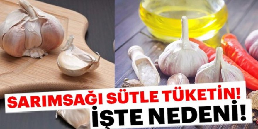 Kaynayan Sütün içine Sarımsak Ekleyip İçerseniz O sorun geçiyor