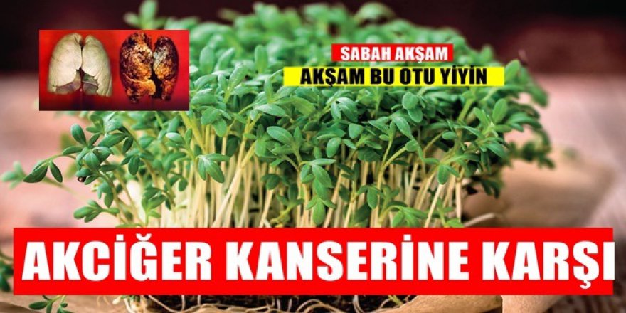 Akciğerlerinizi Korumak ve Güçlendirmek için bu karışımdan mutlaka uygulayın