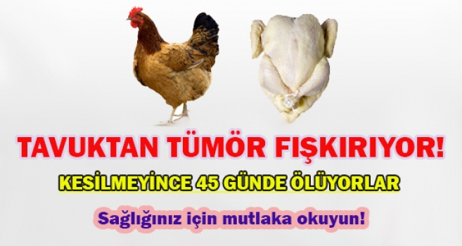 Tavuk yemenin de tadı kaçtı..