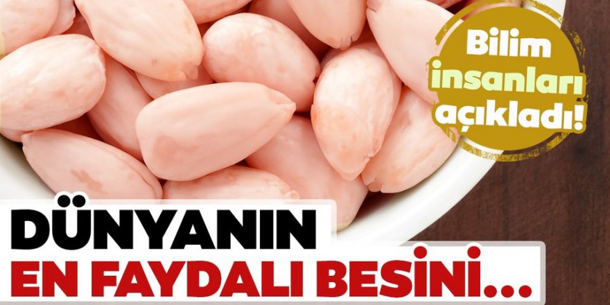 Bilim insanları Araştırdı Dünyanın En yararlı Gıdası O çıktı bir kaç adet bile yemek yeterli