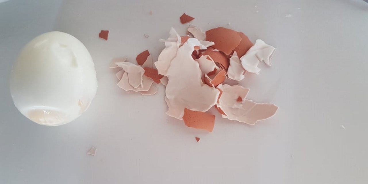 Yumurta kabuğunu çöpe atmayın bakın ne işe yarıyor