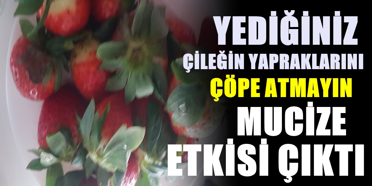 Bir kase çileğin yapraklarını çöpe atmayıp kaynatıp için vücuda bunları yapıyor