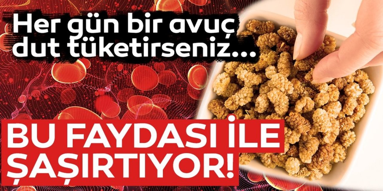 Gece uyumadan önce 1 avuç dut kurusu yerseniz 1 gece içerisinde vücudunuzda..