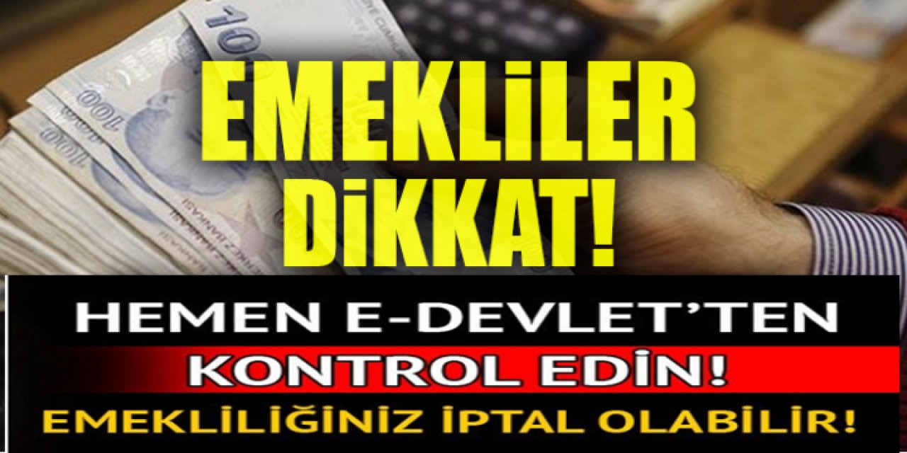 E-Devlet üzerinden bakınız Emekliler Maaşınız Yanabilir!