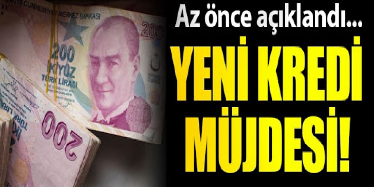 12 Ay Vadeli 25 Bin Lira Güncel Kredi Veren Bankalar ! Onay hemen verilecek