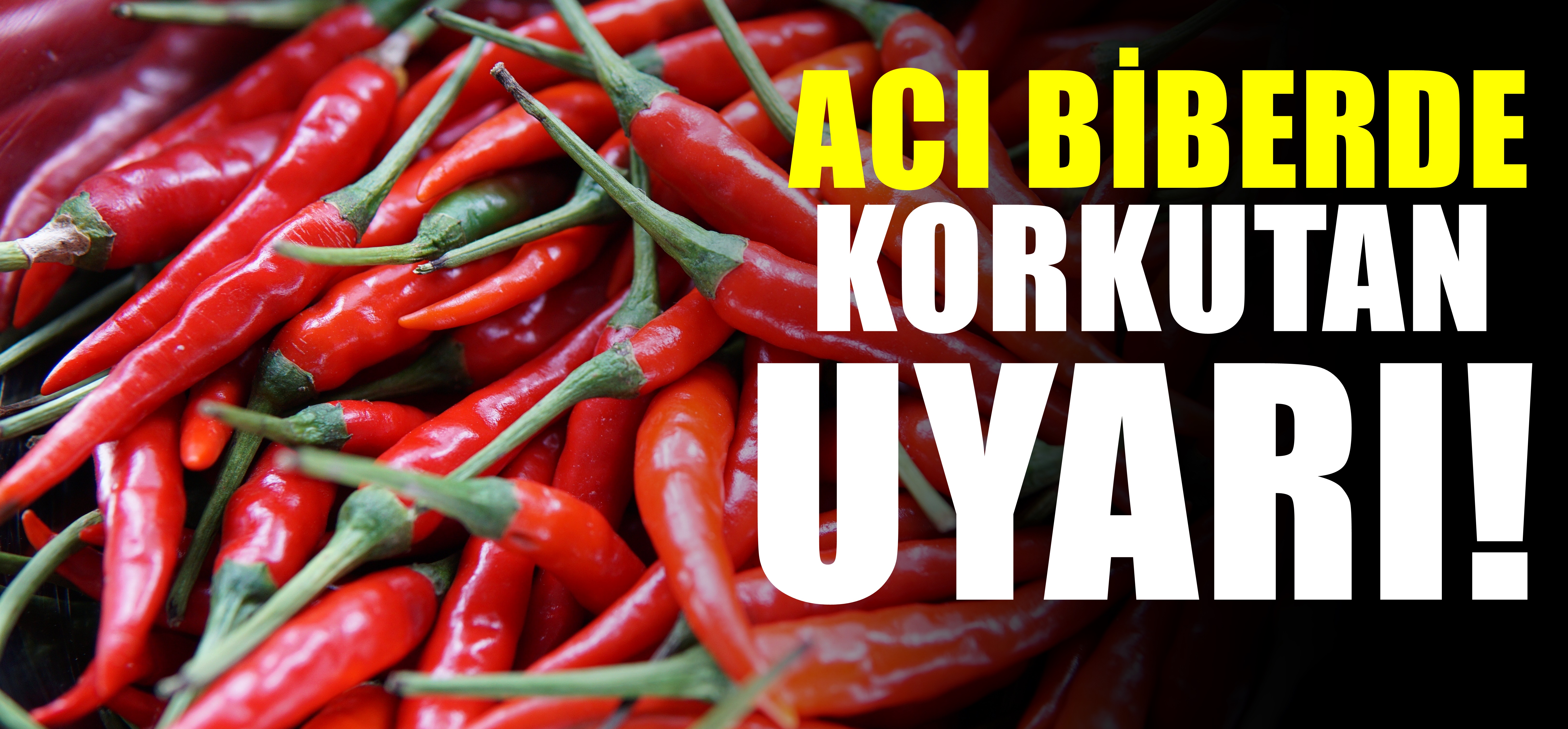 Acı Biberle İlgili Korkutan Uyarı! Kanser Tehlikesi ortaya çıktı