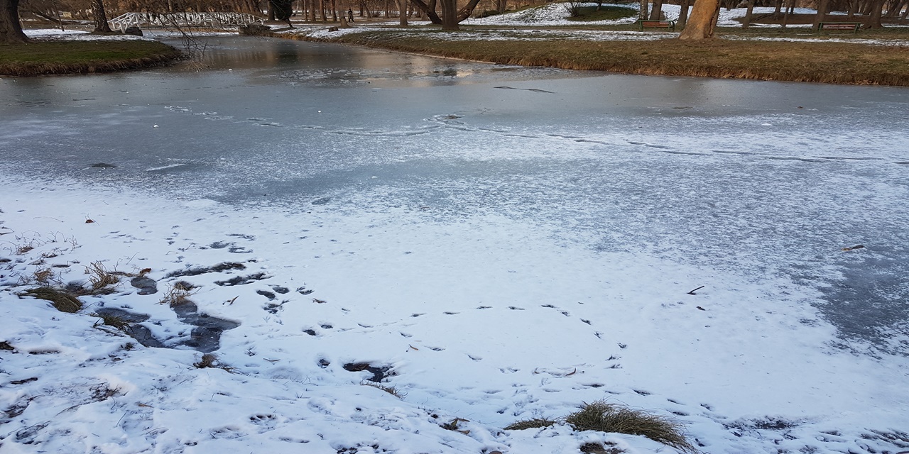20220123-154535.jpg