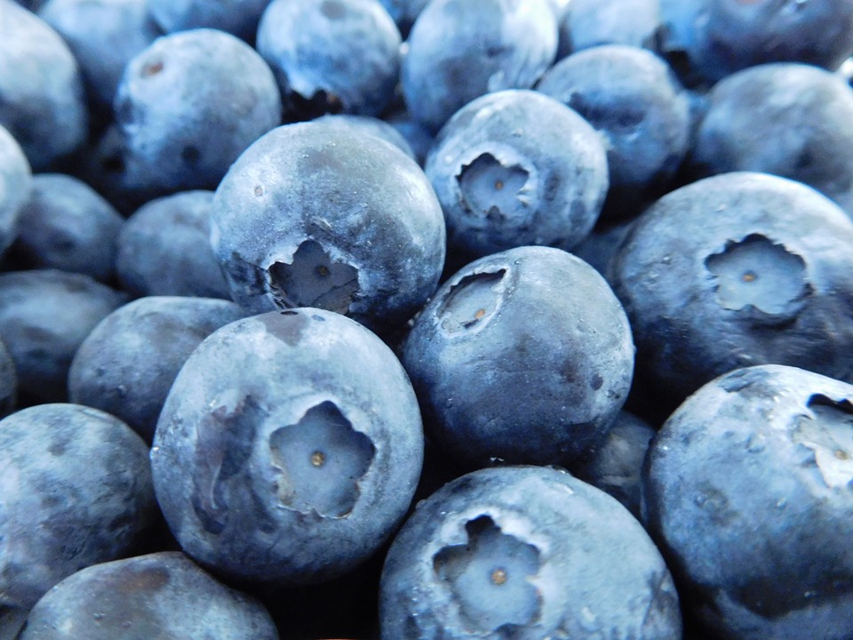 blueberries-1218467-960-720.jpg