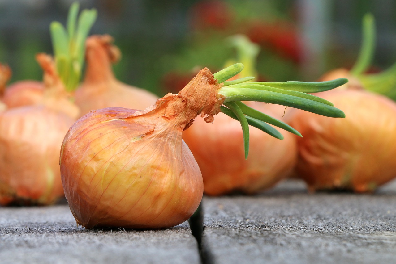 onion-1507519-1280.jpg