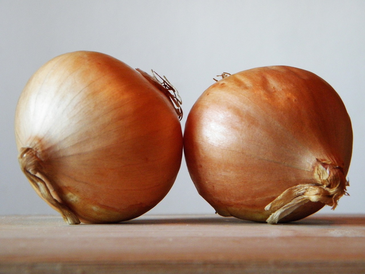 onion-179474-1280.jpg