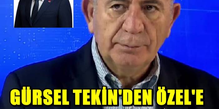 Gürsel Tekin'den Özgür Özel'e zeytin dalı: Flaş açıklama